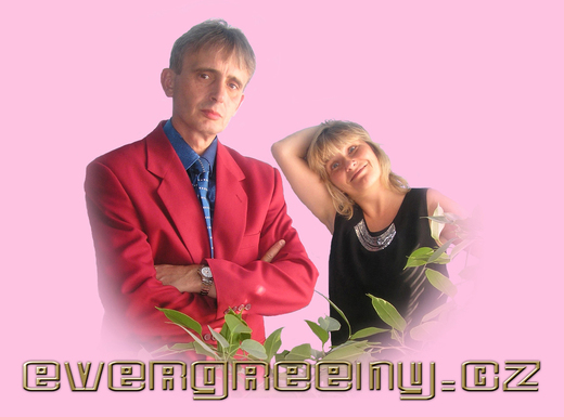 evergreeny 44.jpg