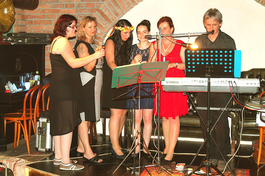 karaoke na párty